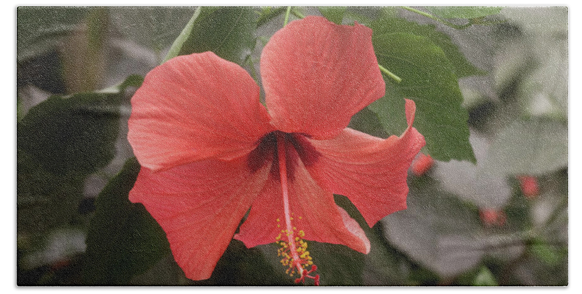 Flower Bath Towel featuring the photograph Red Hibiscus Flower by Tim Abeln