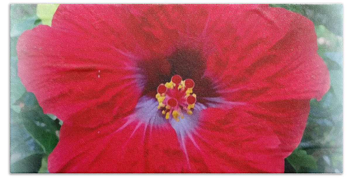 Flower Bath Towel featuring the photograph Red Hibiscus Portrait by Stacie Siemsen