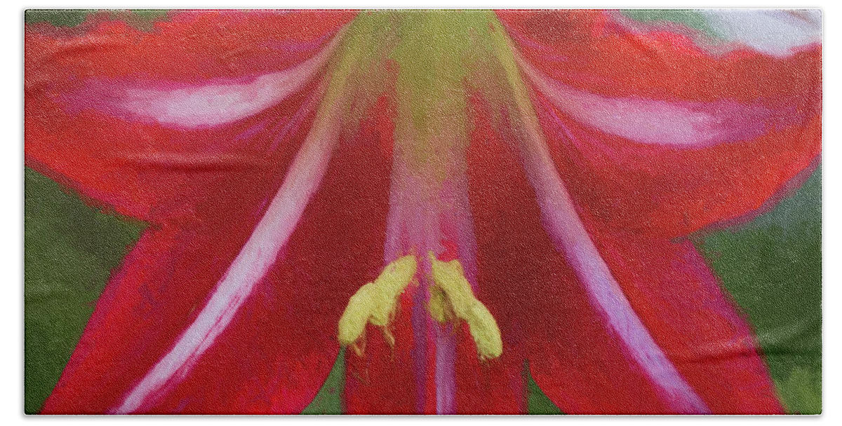 Red Bath Towel featuring the photograph Red by Kathy Clark