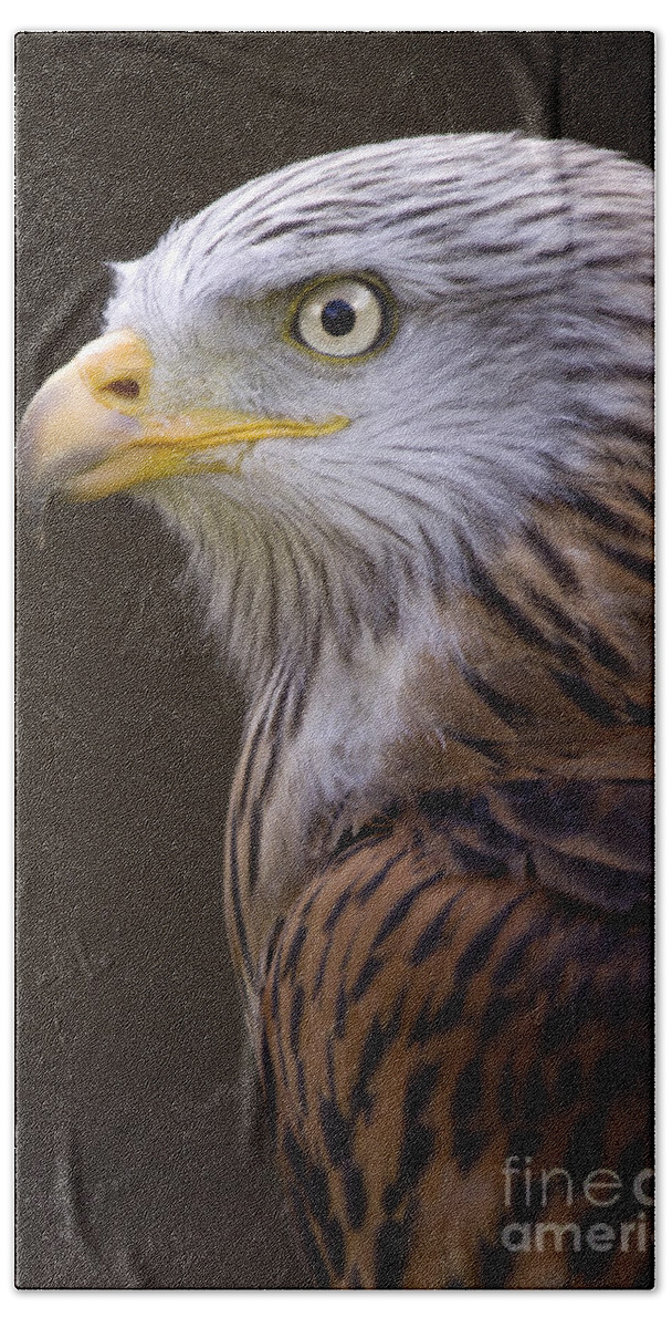 Red Kite Bath Towel featuring the photograph Red kite by Ang El