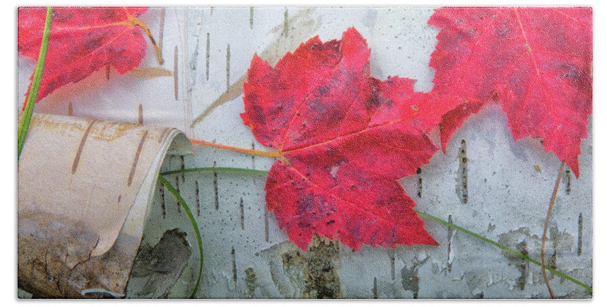Maple Leaves Hand Towel featuring the photograph Red Leaves by Nancy Dunivin