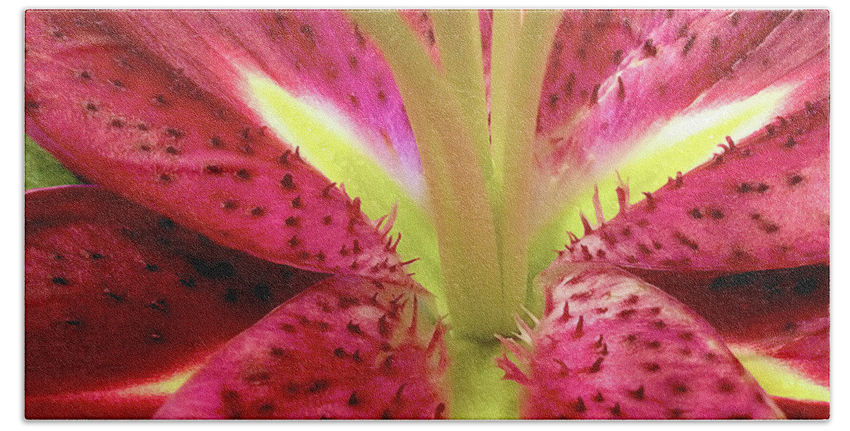 Nature Bath Towel featuring the photograph Red Lily Closeup by Linda Carruth