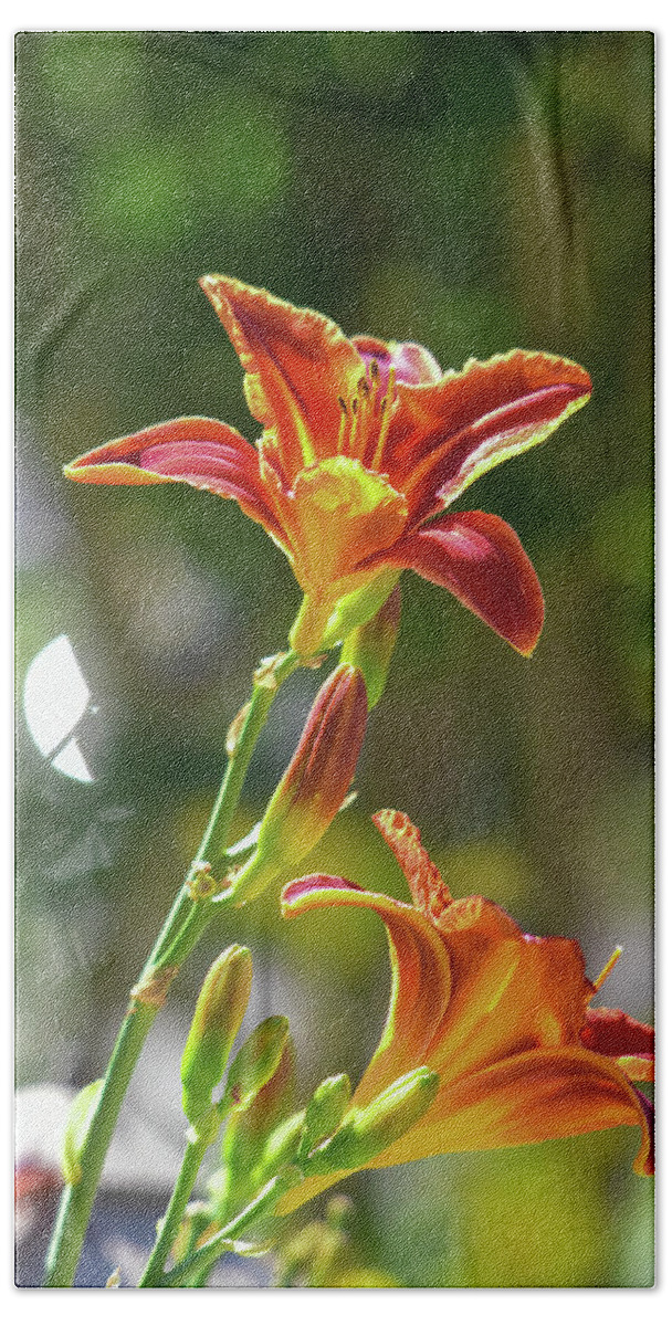 Linda Brody Bath Towel featuring the photograph Red Orange Day Lilies I by Linda Brody