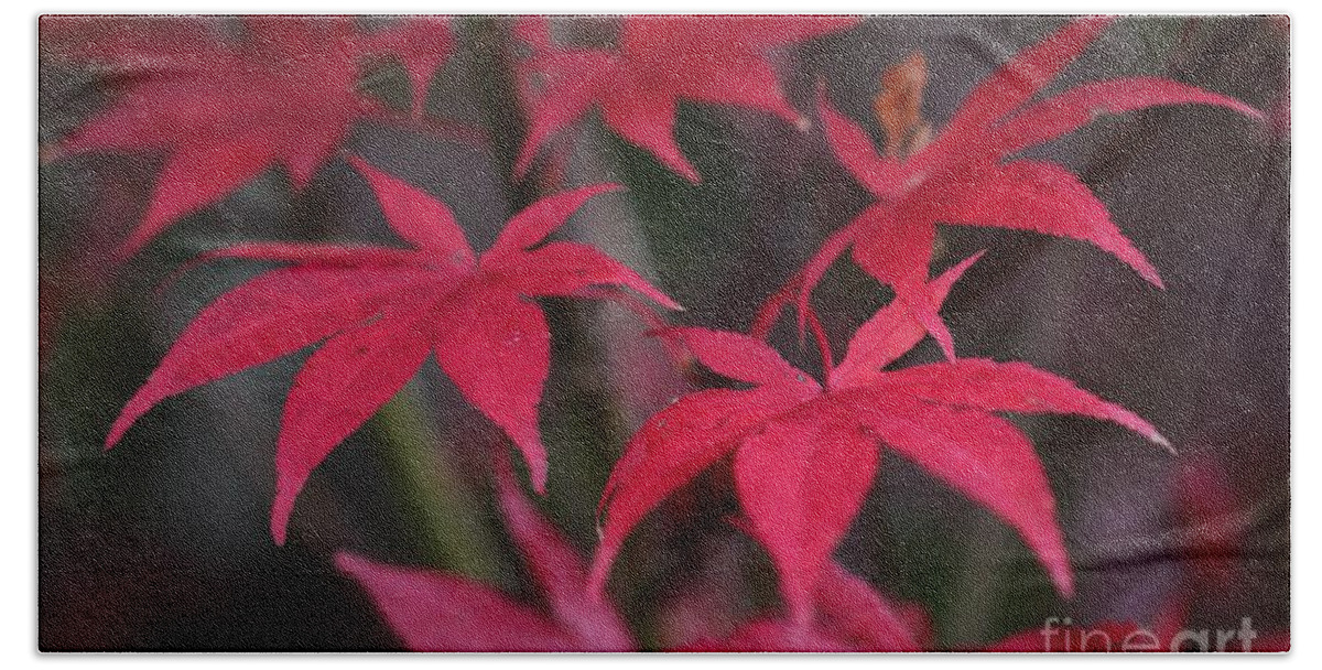 Red Bath Towel featuring the photograph Red palms by Yumi Johnson