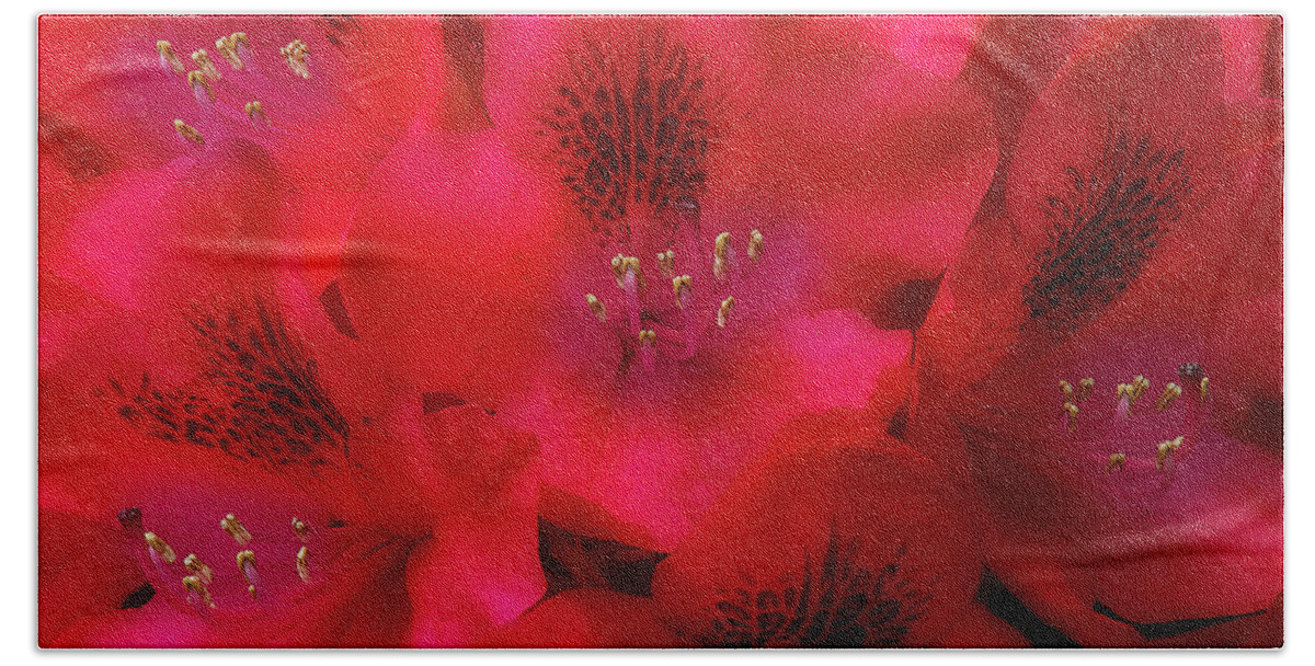 Flowers Bath Towel featuring the photograph Red Petals by Mike Eingle