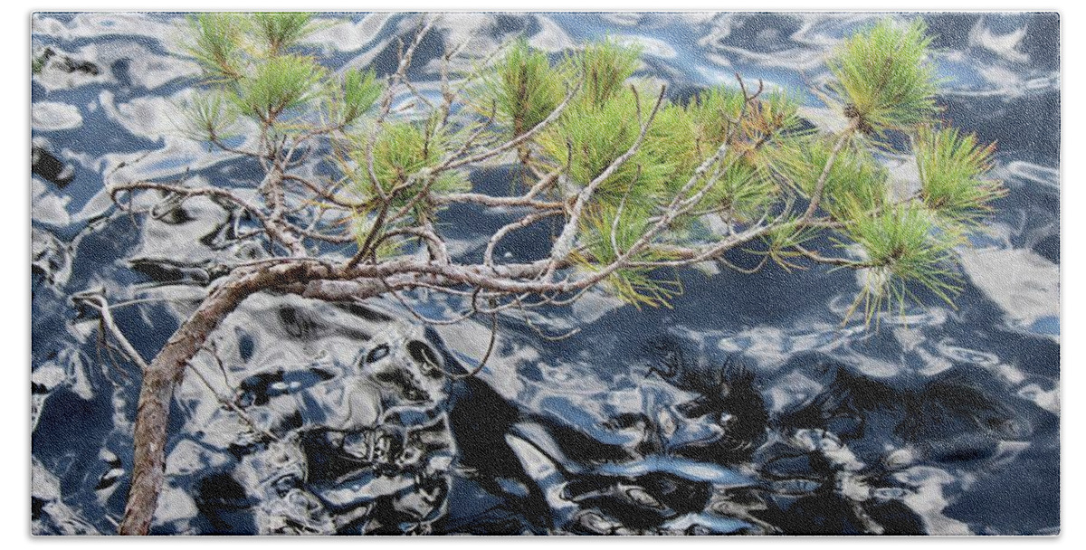  Pinus Resinosa Hand Towel featuring the photograph Red Pine by David Pickett