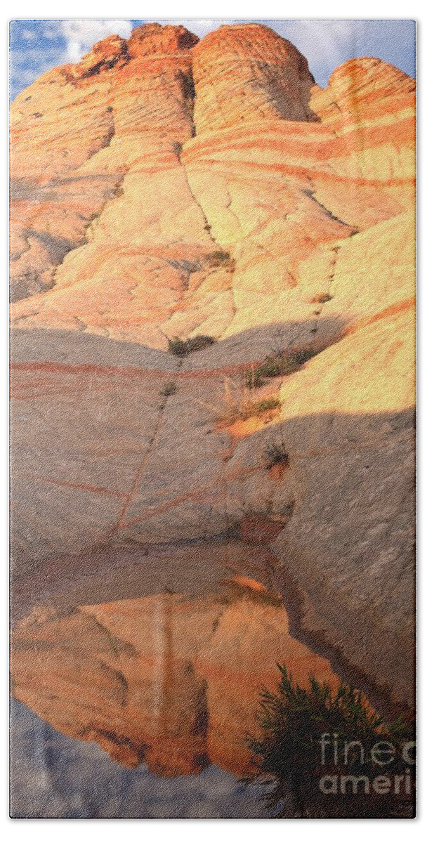 Yant Flat Bath Towel featuring the photograph Red Rock Forest Reflections by Adam Jewell