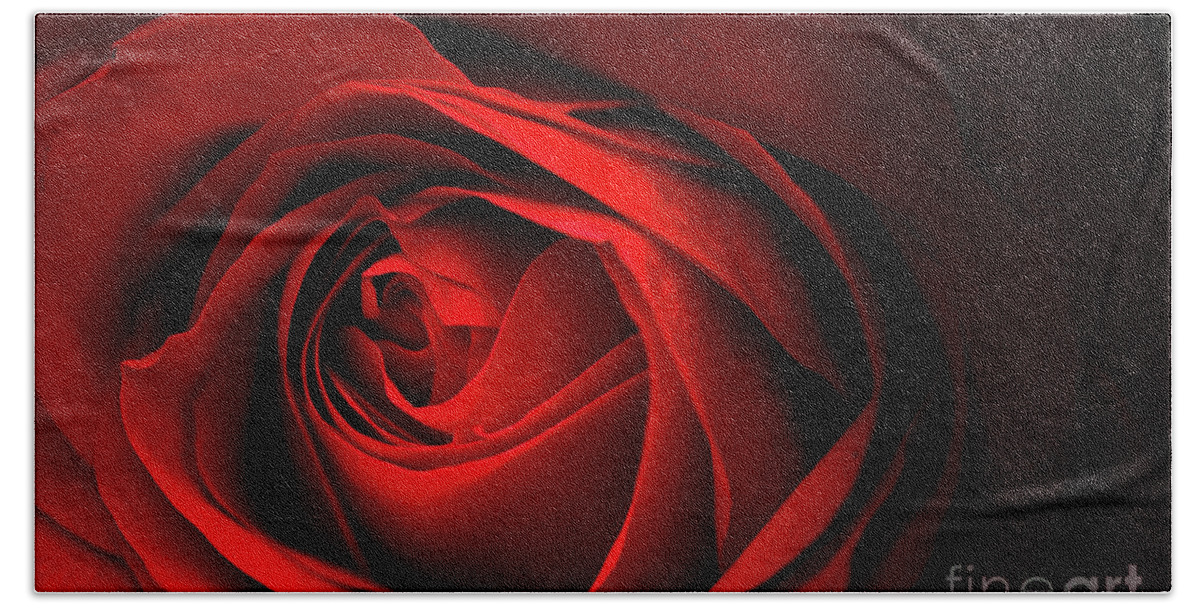 Red Bath Towel featuring the photograph Red Rose Close by Charline Xia
