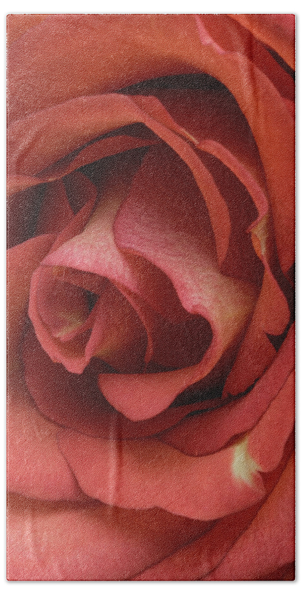 Rose Bath Towel featuring the photograph Red Rose by John Roach