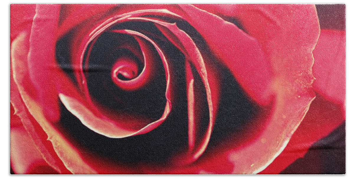 Flower Hand Towel featuring the photograph Red Rose by Joseph Skompski