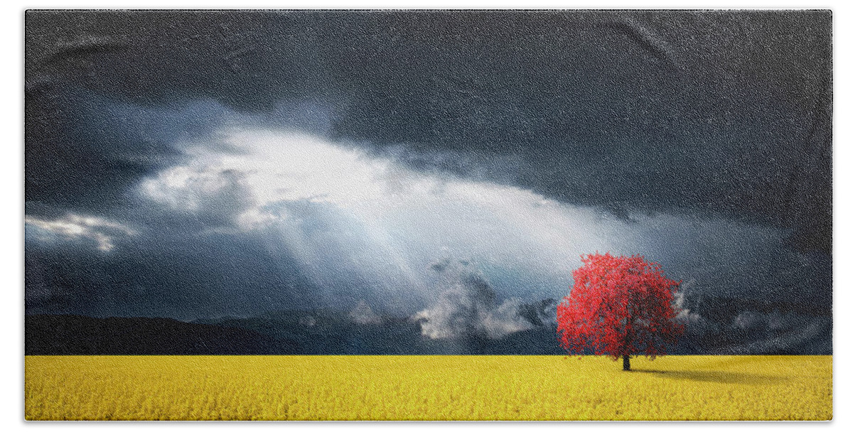 Autumn Bath Towel featuring the photograph Red Tree on Canola meadow by Bess Hamiti