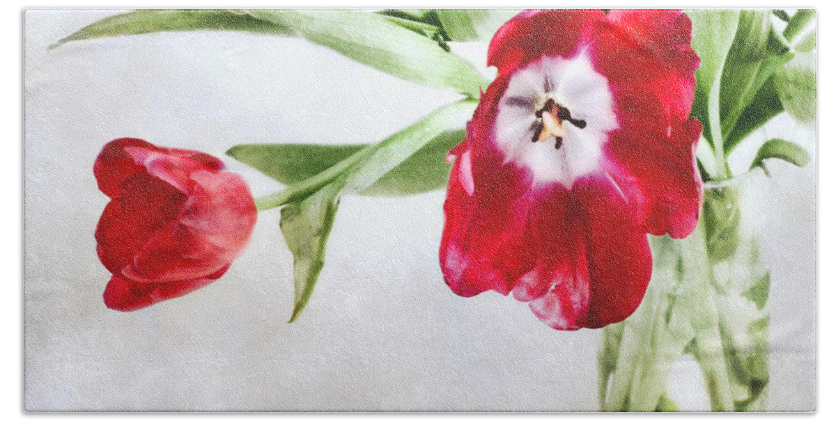 Tulips Hand Towel featuring the photograph Red Tulips in a Clear Glass Vase by Louise Kumpf