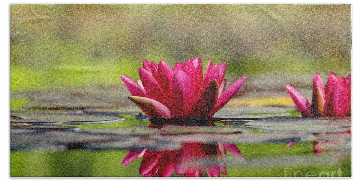 Flower Bath Towel featuring the photograph Red Water Lilies by Teresa Zieba