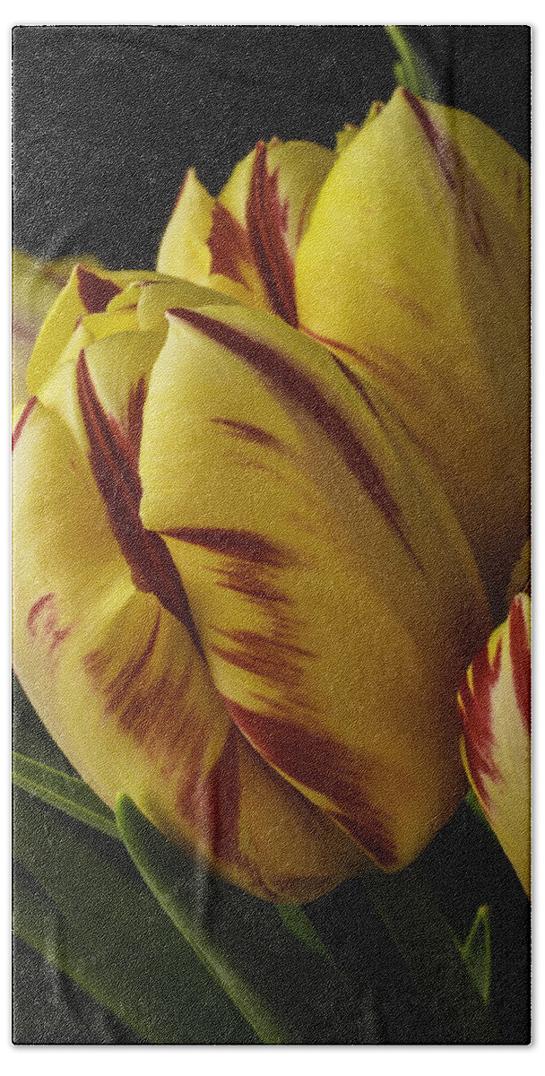 Yellow Bath Towel featuring the photograph Red Yellow Tulip by Garry Gay