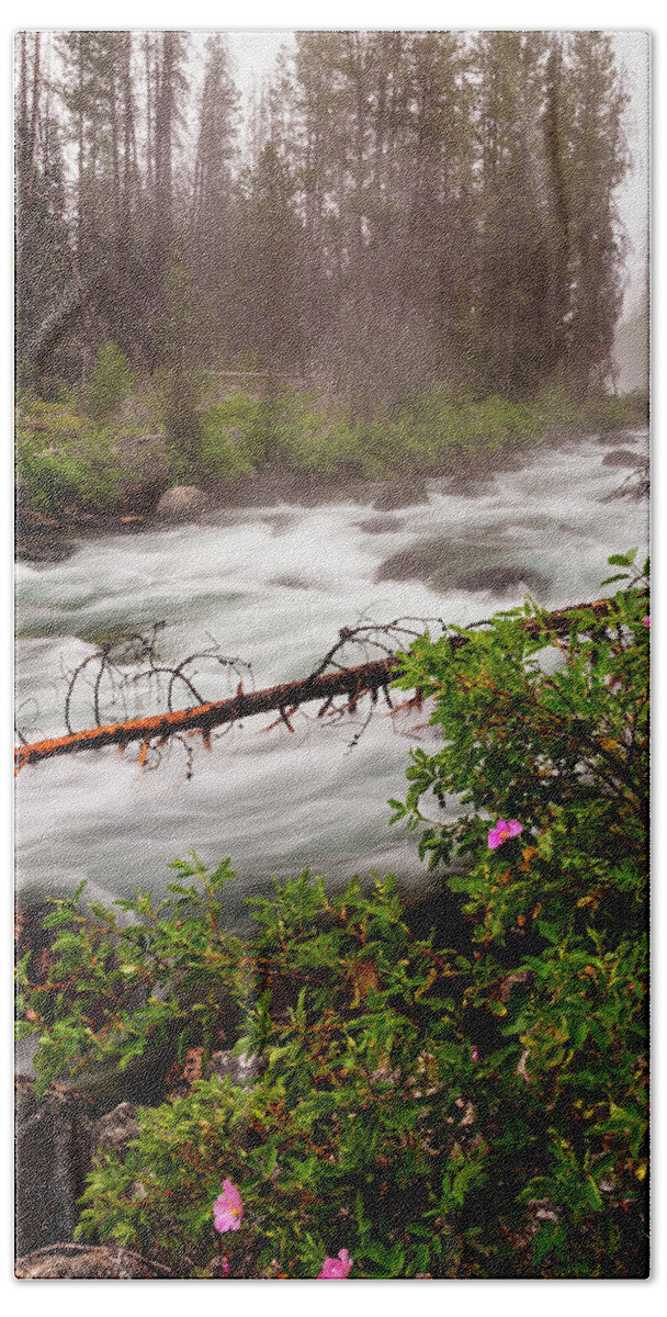 Redfish Creek Bath Towel featuring the photograph Redfish Creek in the morning at Stanley Idaho by Vishwanath Bhat