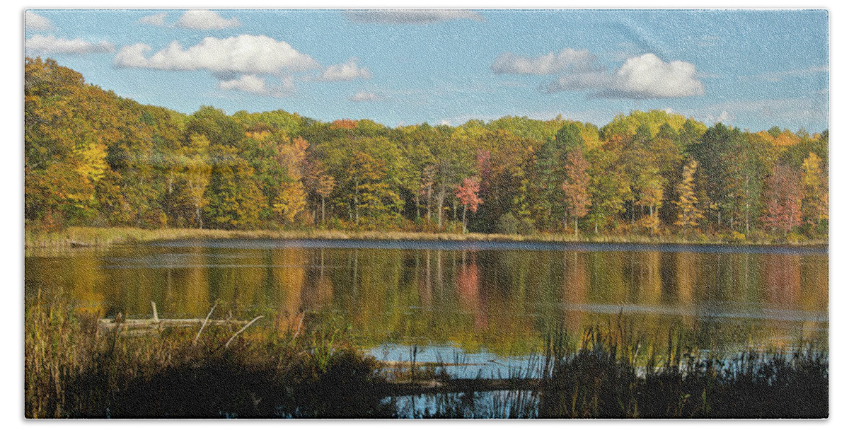 Lake Bath Towel featuring the photograph Reed Lake 0249 by Michael Peychich