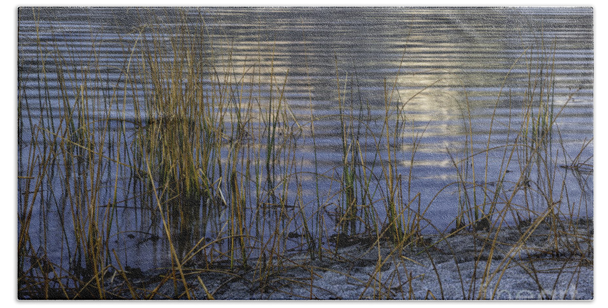 California Bath Towel featuring the photograph Reeds and Reflection by Timothy Hacker
