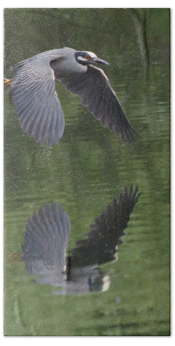 Bird Bath Towel featuring the photograph Reflecting on Flight by Shane Bechler