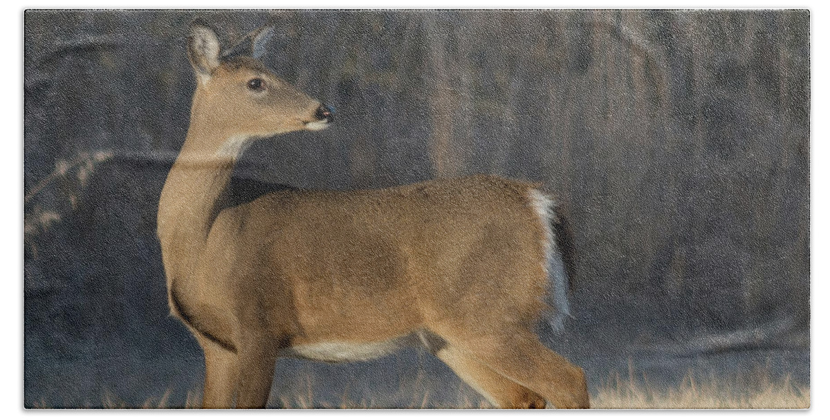 Wildlife Bath Towel featuring the photograph Reflecting On The Past by John Benedict