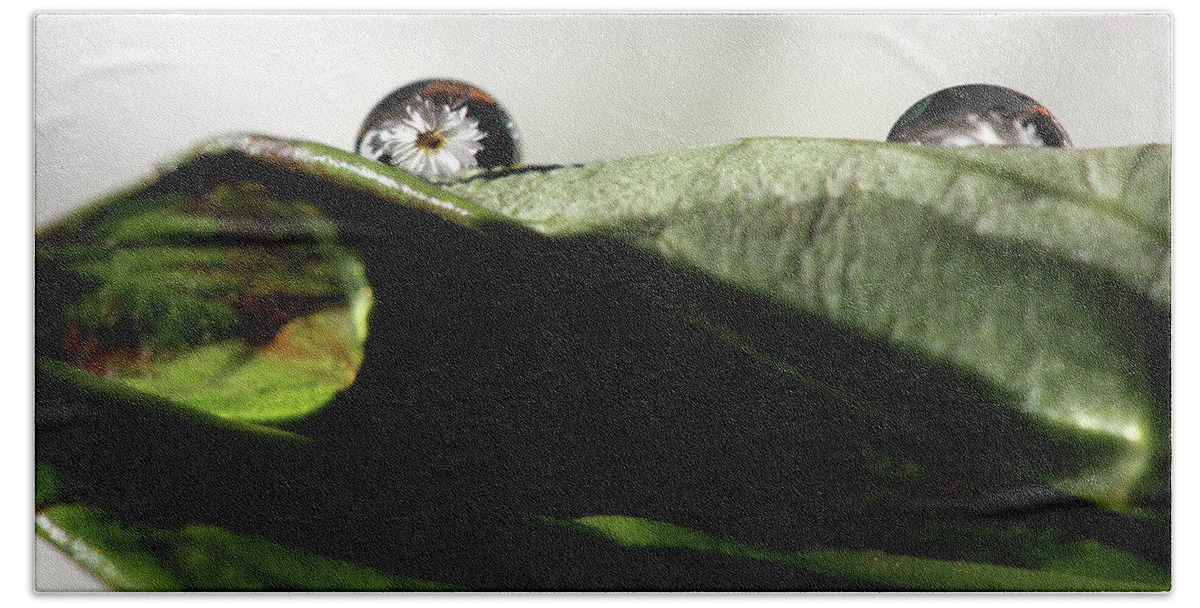 Water Drop Bath Towel featuring the photograph Reflecting Water Drop on Leaf by Angela Murdock