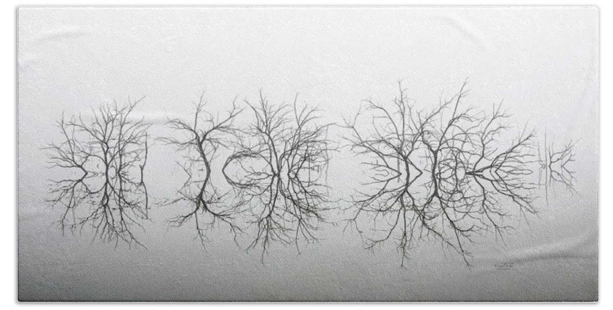 Sticks Bath Towel featuring the photograph Reflections in the Fog by Crystal Socha