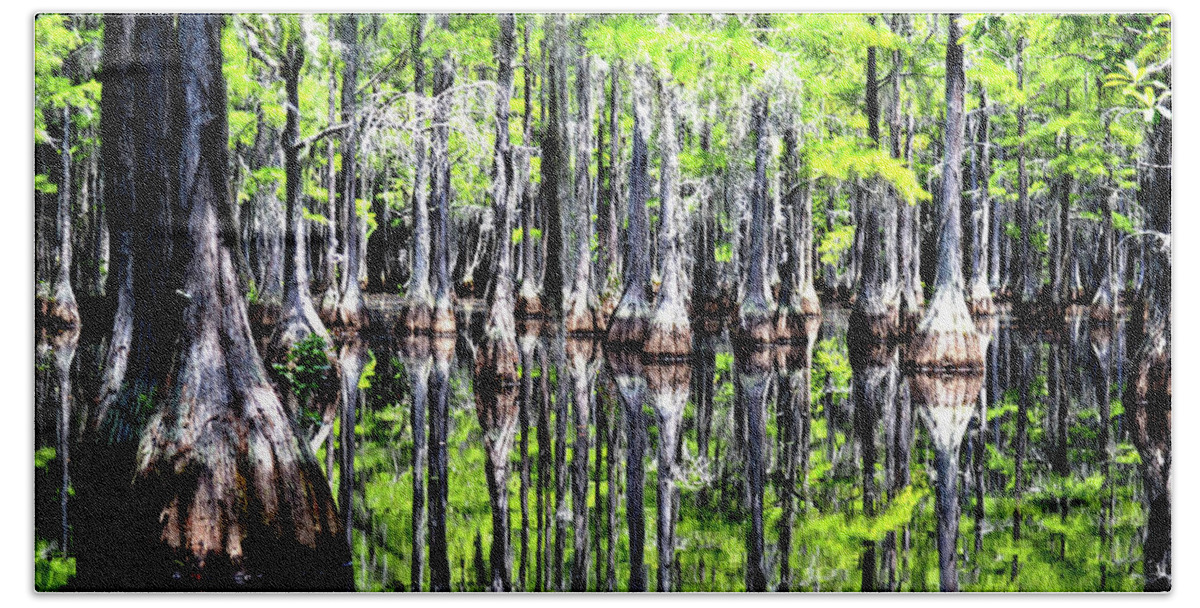 Cypress Trees Hand Towel featuring the photograph Reflections of a Cypress Forest by Tara Potts