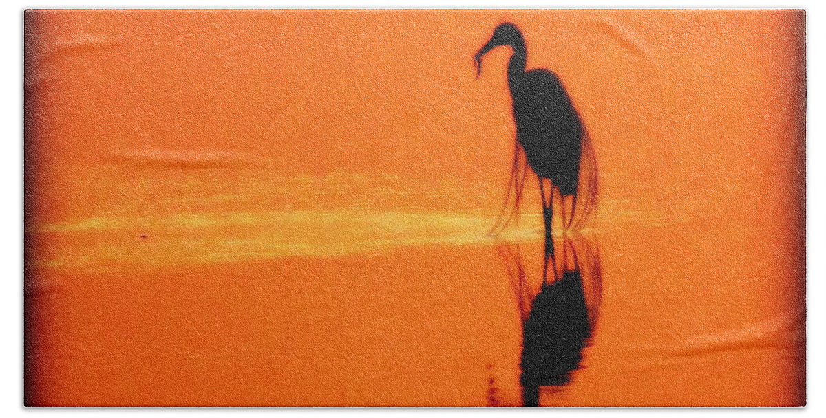 Shadows Hand Towel featuring the photograph Reflections of a Heron by Suzanne DeGeorge