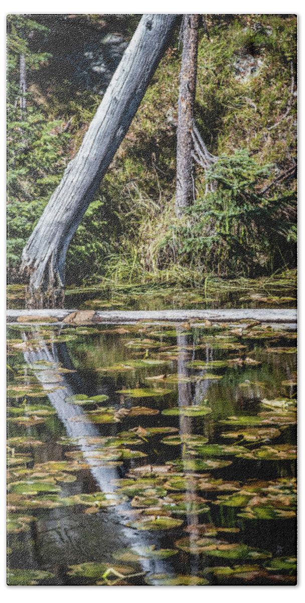 Autumn Bath Towel featuring the photograph Reflections by Paul Freidlund