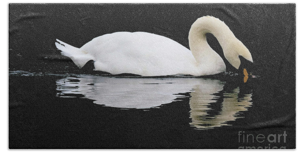 Bird Hand Towel featuring the photograph Regal Elegance by Stephen Melia