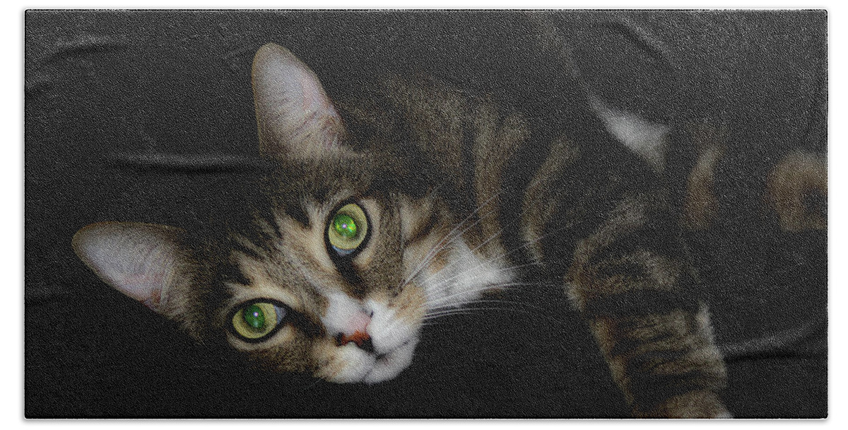 Cat Bath Towel featuring the photograph Relaxation by Mike Eingle