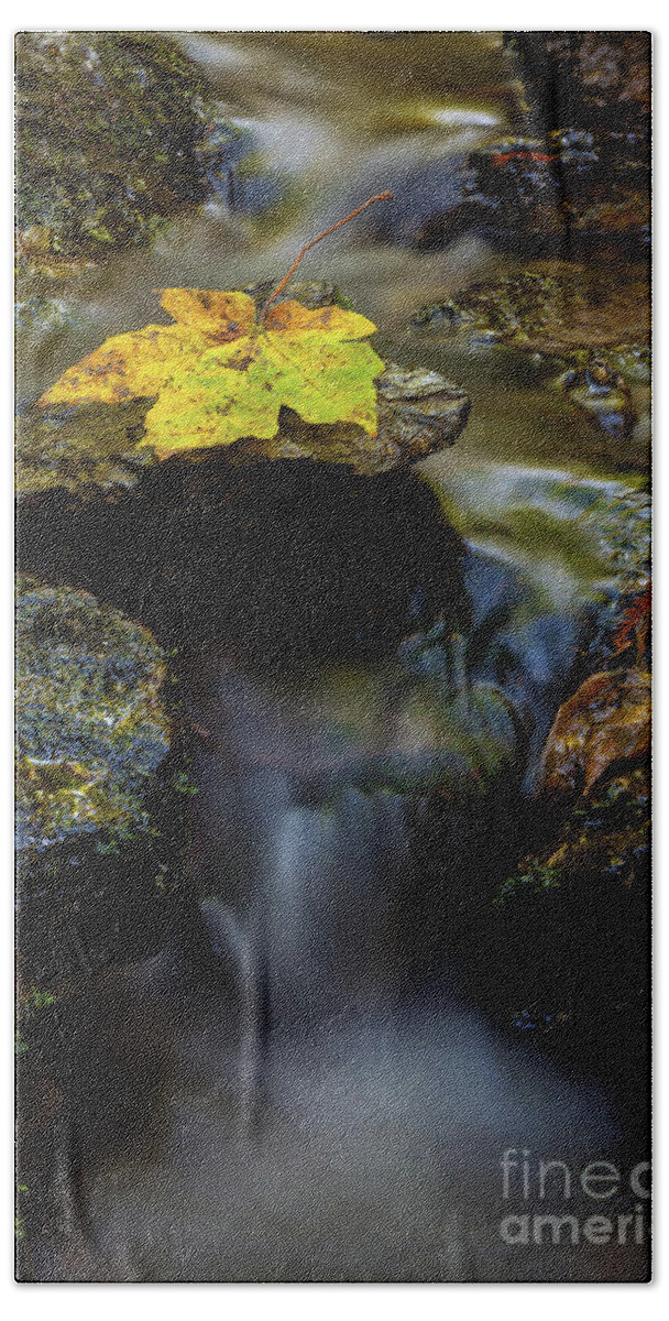 Stream Hand Towel featuring the photograph Renewal by Mark Alder