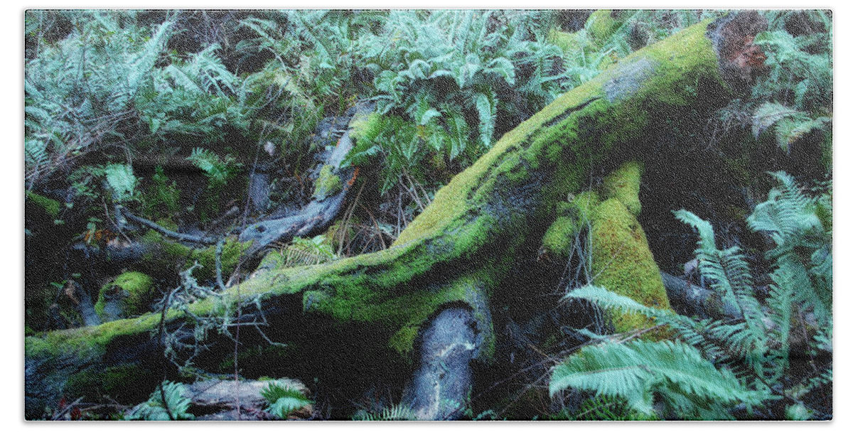 Forest Bath Towel featuring the photograph Resting Comfortably by Donna Blackhall