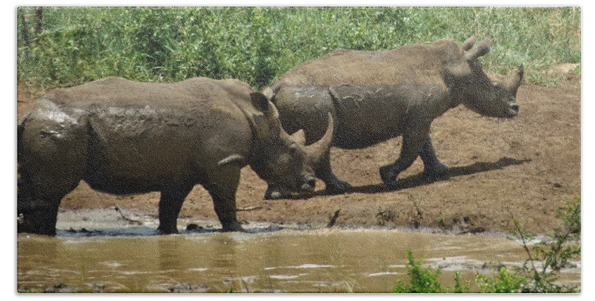 Rhinos Hand Towel featuring the photograph Rhinos by Vijay Sharon Govender