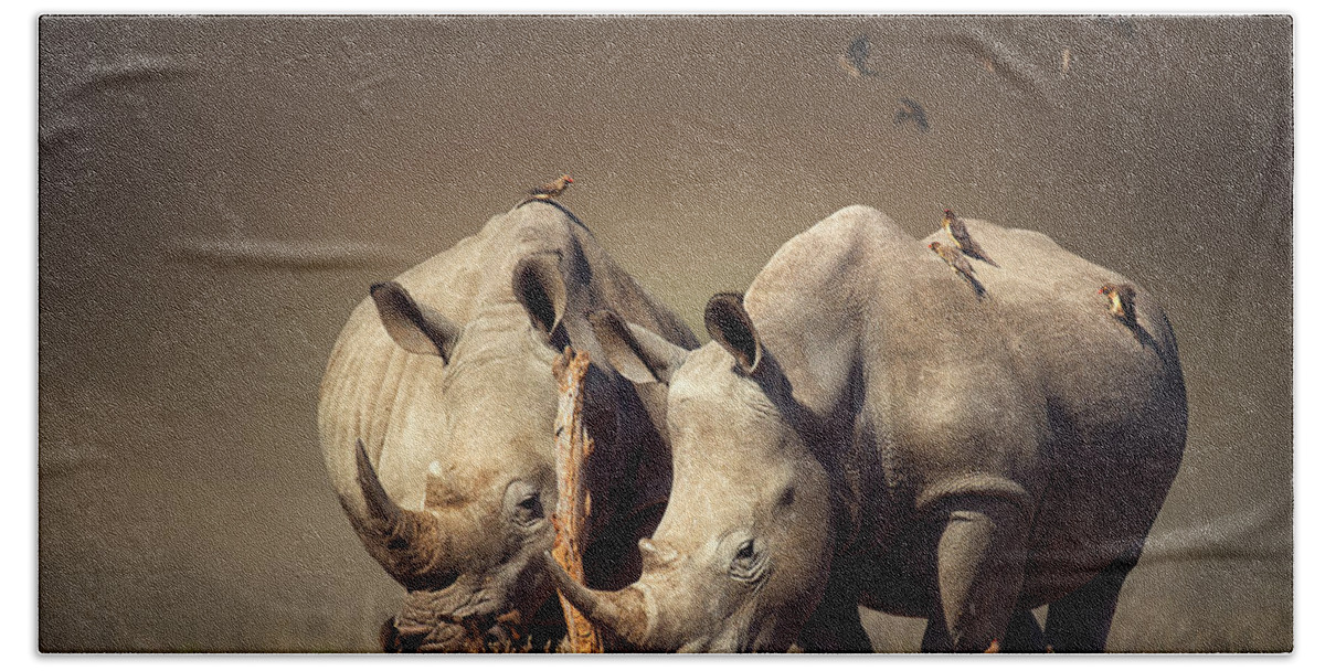 Rhinoceros Bath Towel featuring the photograph Rhino's with birds by Johan Swanepoel