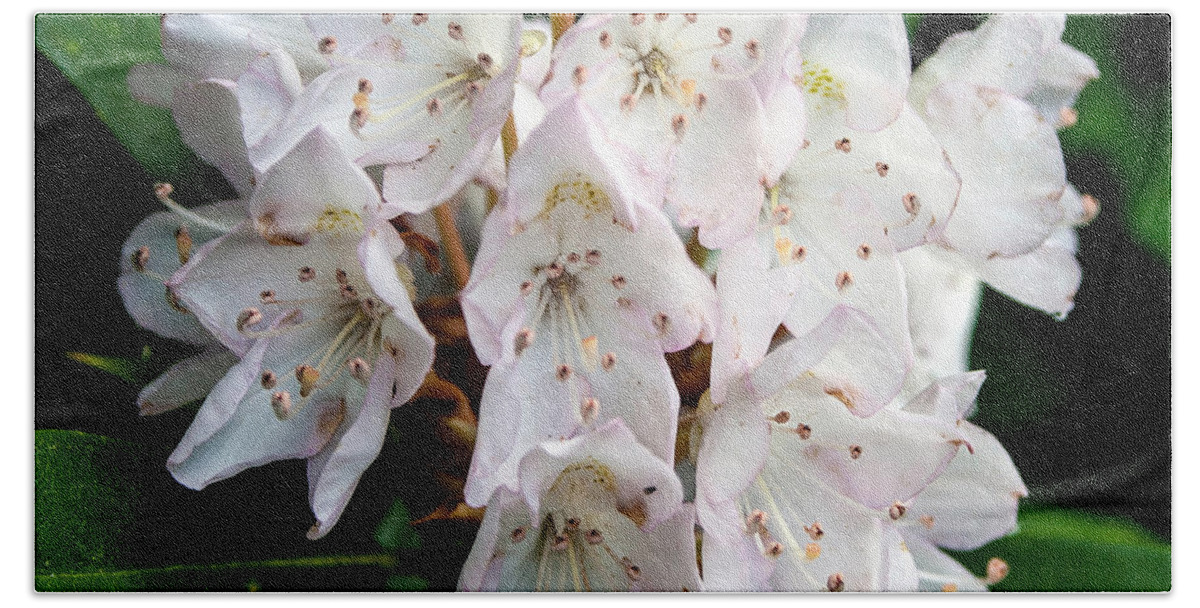 Flower Bath Sheet featuring the photograph Rhododendron Family of Flowers by John Haldane
