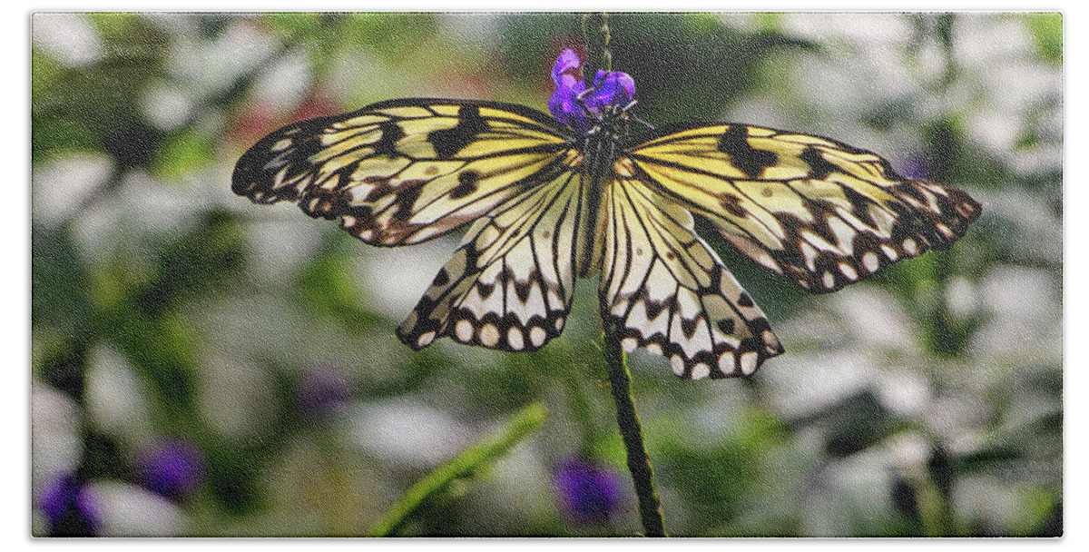 Rice Paper Butterfly Bath Towel featuring the photograph Rice Paper Butterfly by Sandra Huston