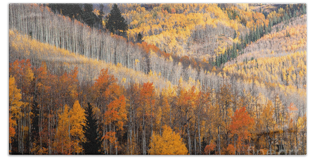 Autumn Colors Bath Towel featuring the photograph Ridges by Jim Garrison