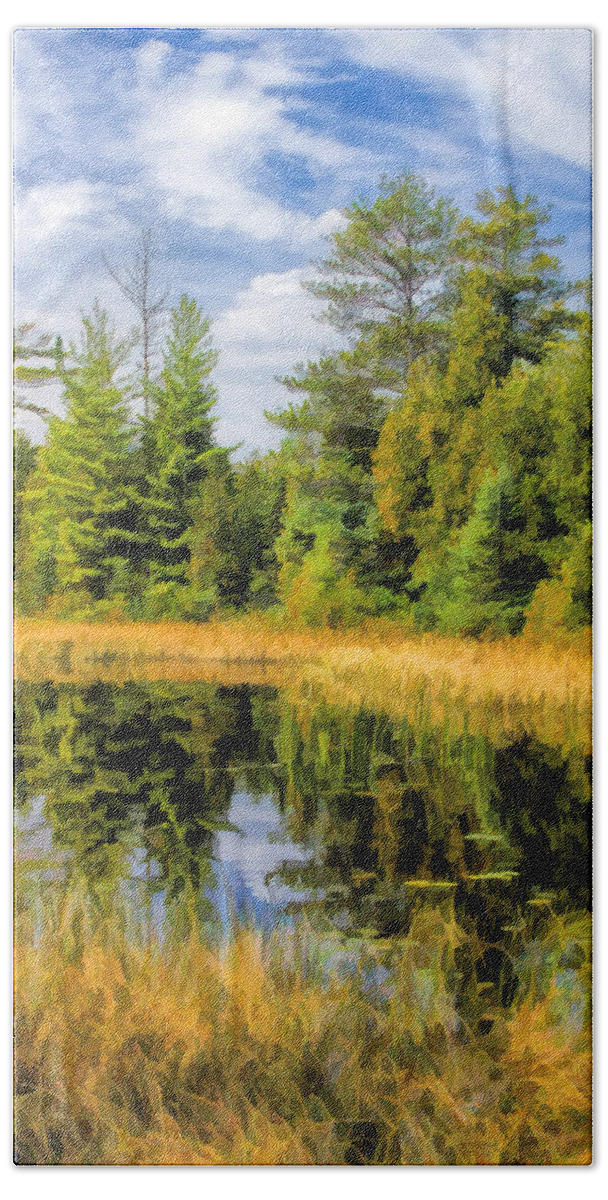 Door County Bath Towel featuring the painting Ridges Sanctuary Reflections by Christopher Arndt
