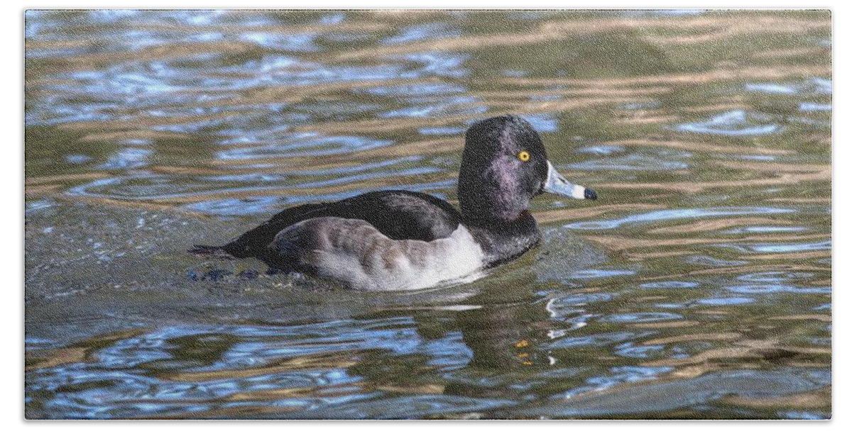 Ring-necked Ducks Bath Towel featuring the photograph Ring Neck Duck II by Carol Montoya