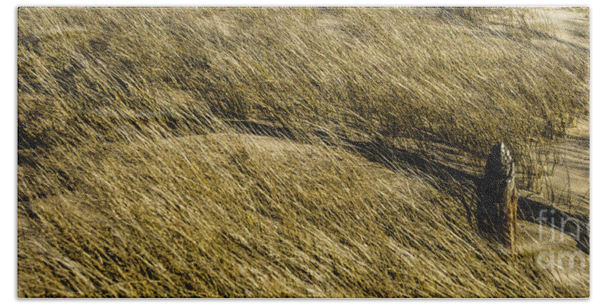 Beach Bath Towel featuring the photograph Rippling Beach Grass by Roger Monahan
