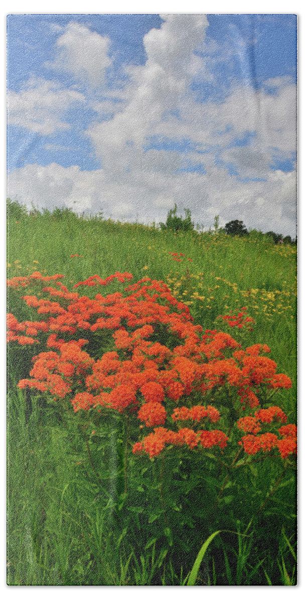 Glacial Park Bath Towel featuring the photograph Rising Clouds over Glacial Park Prairie by Ray Mathis