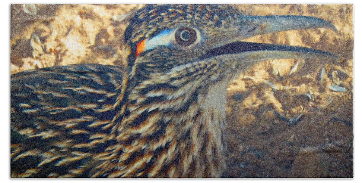 Arizona Hand Towel featuring the photograph Roadrunner Portrait by Judy Kennedy