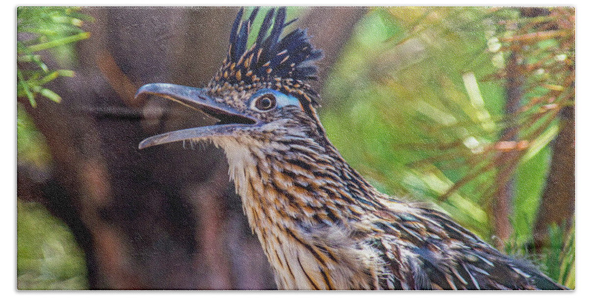 Roadrunner Hand Towel featuring the photograph Roadrunner Profile by Stephen Whalen