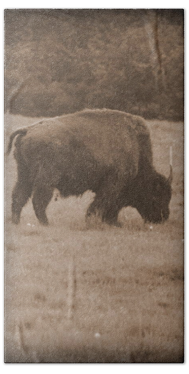  Bath Towel featuring the photograph Roaming Bison by Kimberly Woyak