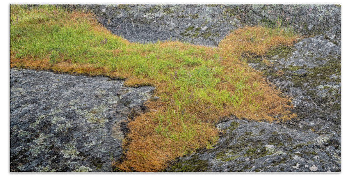 Oregon Coast Bath Towel featuring the photograph Rock And Grass by Tom Singleton
