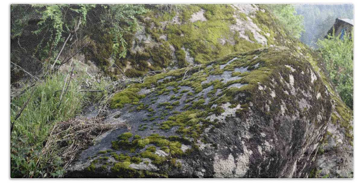 Nature Hand Towel featuring the photograph Rock moss by Sumit Mehndiratta