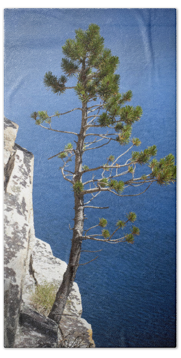 Pine Trees Hand Towel featuring the photograph Rockside by Kelley King