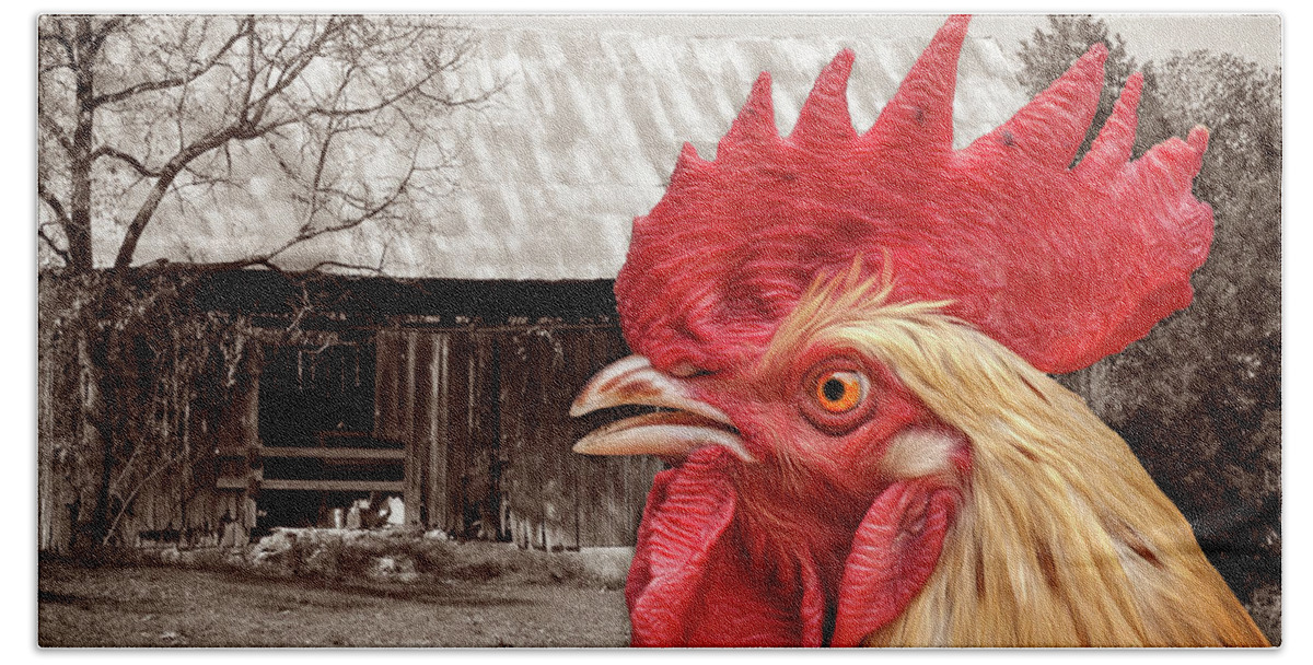 Chicken Bath Towel featuring the photograph Rooster Looks At Barn by Phil Perkins