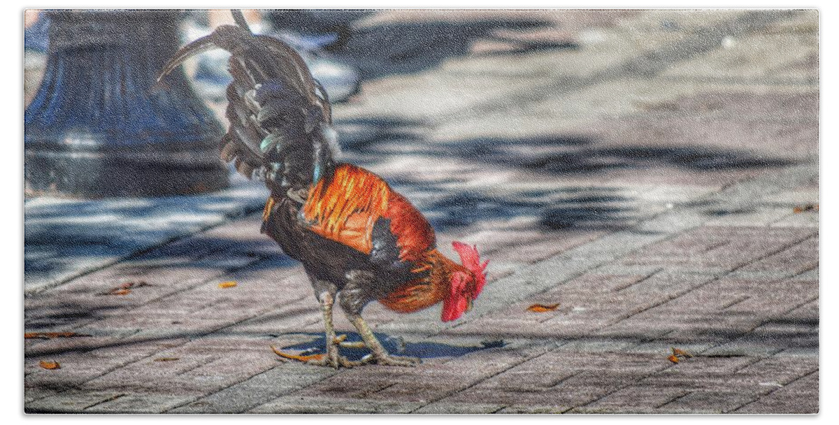 Rooster Bath Towel featuring the photograph Rooster's Shadow by Joseph Caban