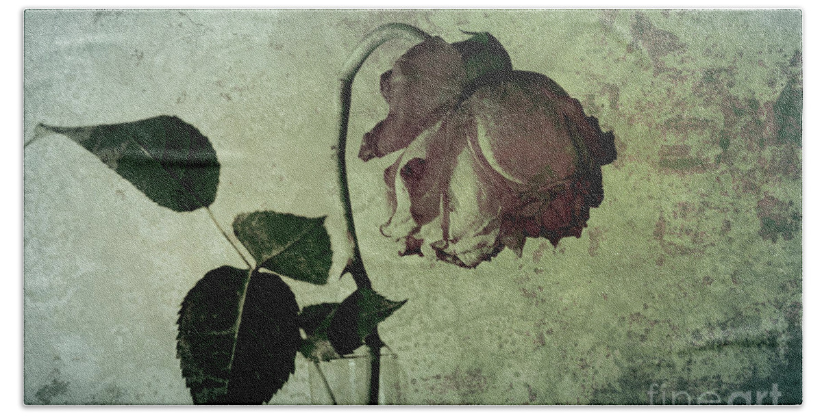 Rose Bath Towel featuring the photograph Rose Flower In A Vase 4 by Heiko Koehrer-Wagner